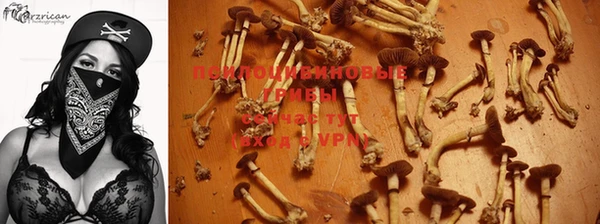 ГАЛЛЮЦИНОГЕННЫЕ ГРИБЫ Михайлов