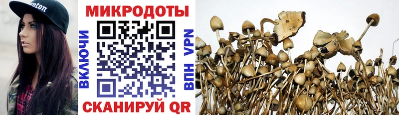 Галлюциногенные грибы ЛСД  Северодвинск 