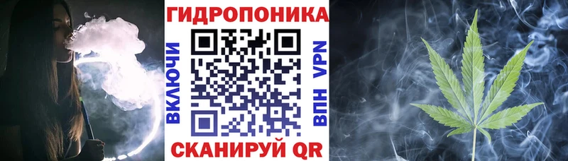 Шишки марихуана планчик  MEGA ТОР  Северодвинск 